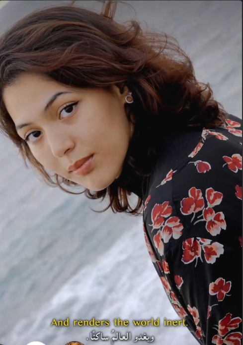 Hiba Content