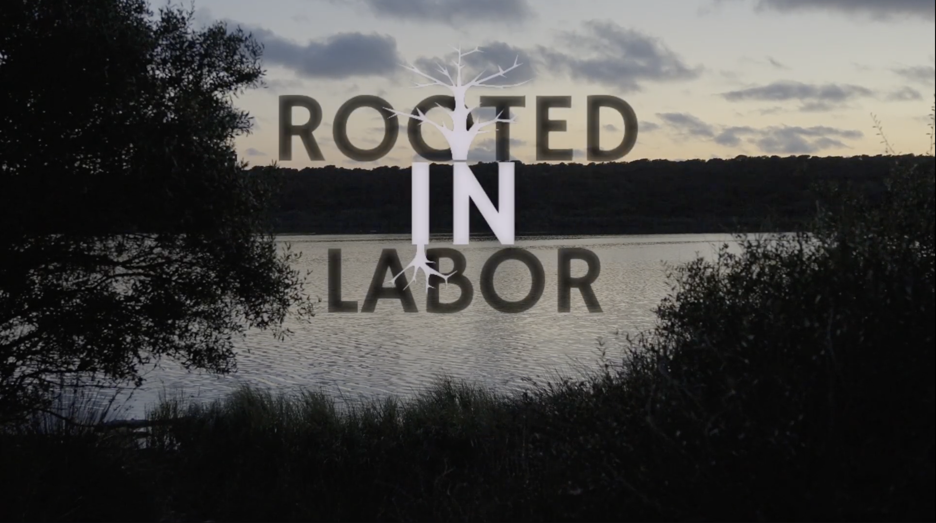 Rooted In Labor